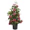 2ft. Potted Bougainvillea Climbing Plant